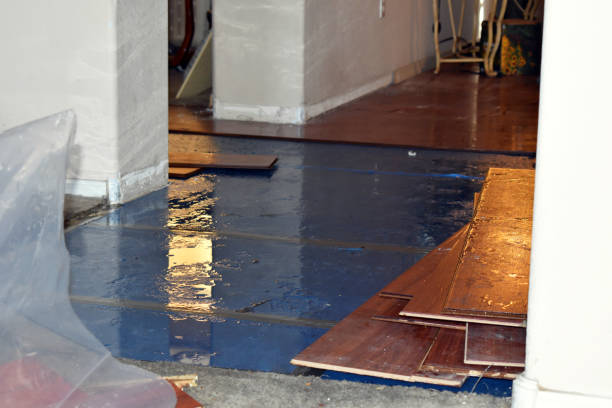 Professional Basement Flood Cleanup technician working in Brooklyn, OH